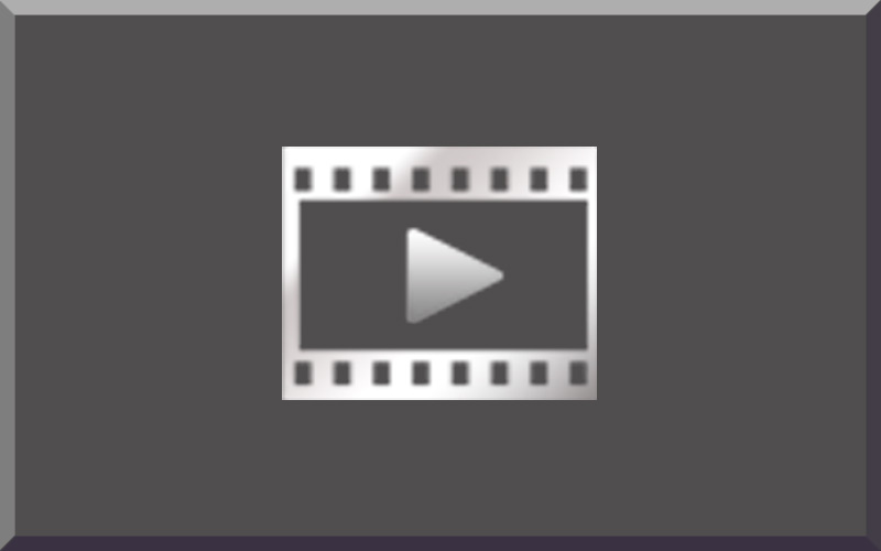 React Movie Monitor